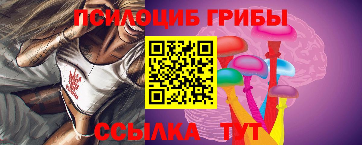 Мирный  Галлюциногенные грибы мухоморы  Вход с VPN 